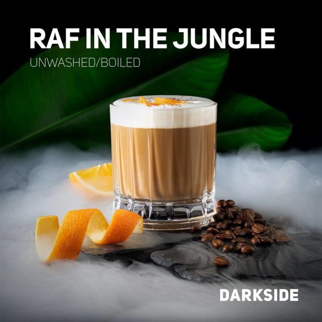 табак Dark Side CORE Raf In The Jungle 30 гр