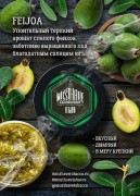 табак Must Have Feijoa 25 гр. МТ